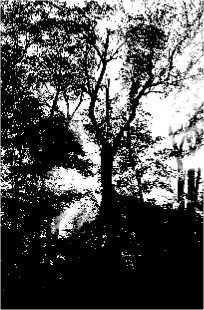 Процессуальный ум: Руководство по установлению связи с Умом Бога - i_015.jpg