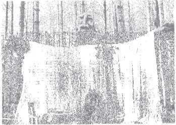 Процессуальный ум: Руководство по установлению связи с Умом Бога - i_018.jpg