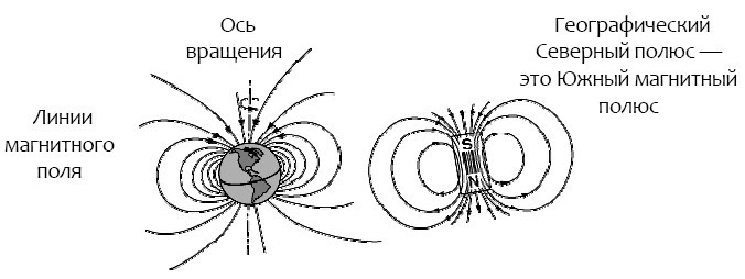 Процессуальный ум: Руководство по установлению связи с Умом Бога - i_024.jpg