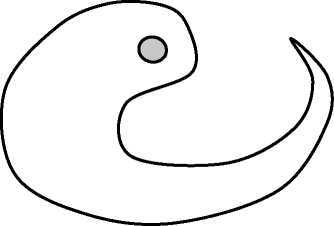 Процессуальный ум: Руководство по установлению связи с Умом Бога - i_029.jpg