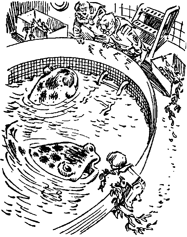 Девочка с Земли (илл. Е. Мигунова) - pic_8.png