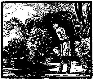 Лунный камень(ил. В.Высоцкого) - doc2fb_image_0300001F.png