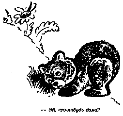 Винни Пух и Все-Все-Все (илл. А. Порет) - pic_13.png