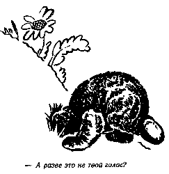 Винни Пух и Все-Все-Все (илл. А. Порет) - pic_14.png