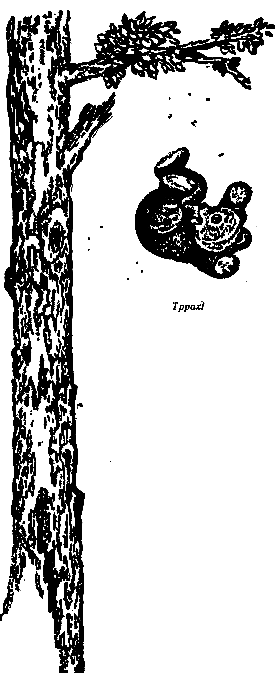 Винни Пух и Все-Все-Все (илл. А. Порет) - pic_6.png