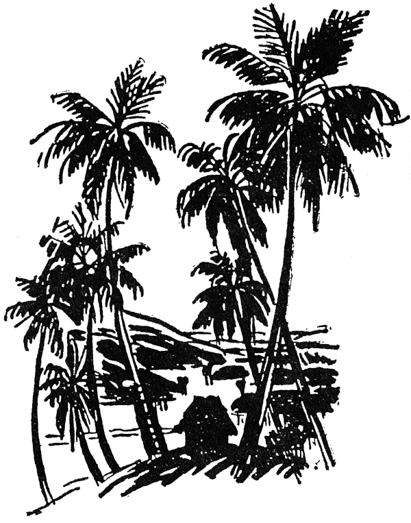 Охота за головами на Соломоновых островах - i_003.png