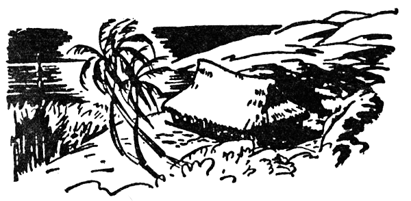 Охота за головами на Соломоновых островах - i_039.png