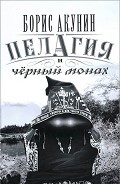 Серия книг Провинциальный детектив, или Приключения сестры Пелагии