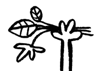 Про Бабаку Косточкину - i_037.png