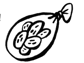 Про Бабаку Косточкину - i_209.png