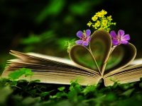 Проделки моего Муза (СИ) - Мария Николаевна "•Мечтательница•"