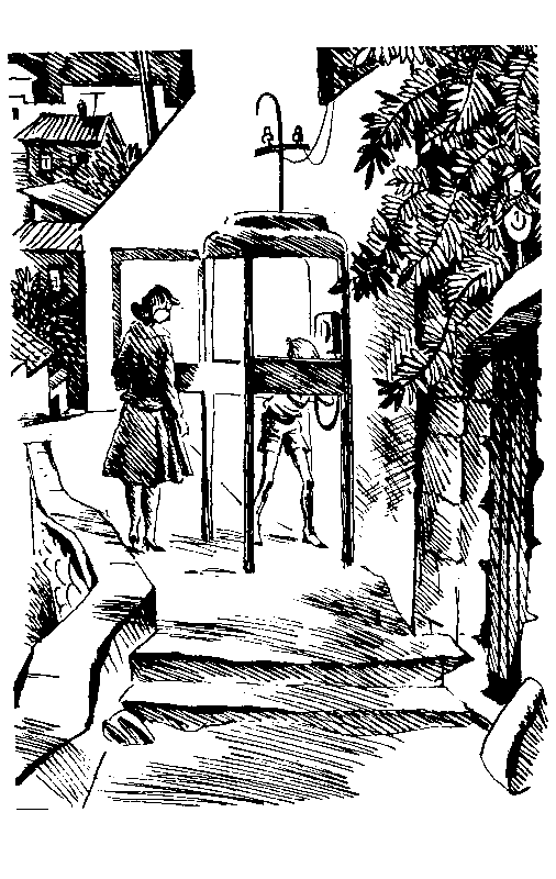 Избранное в 2 томах. Том 2 - pic_34.png