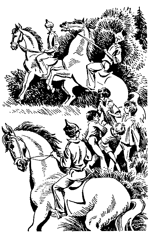 Избранное в 2 томах. Том 1 - pic_24.png