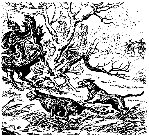 Игра шутов - pic_21.png