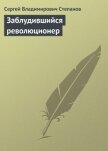 Заблудившийся революционер - Степанов Сергей Владимирович