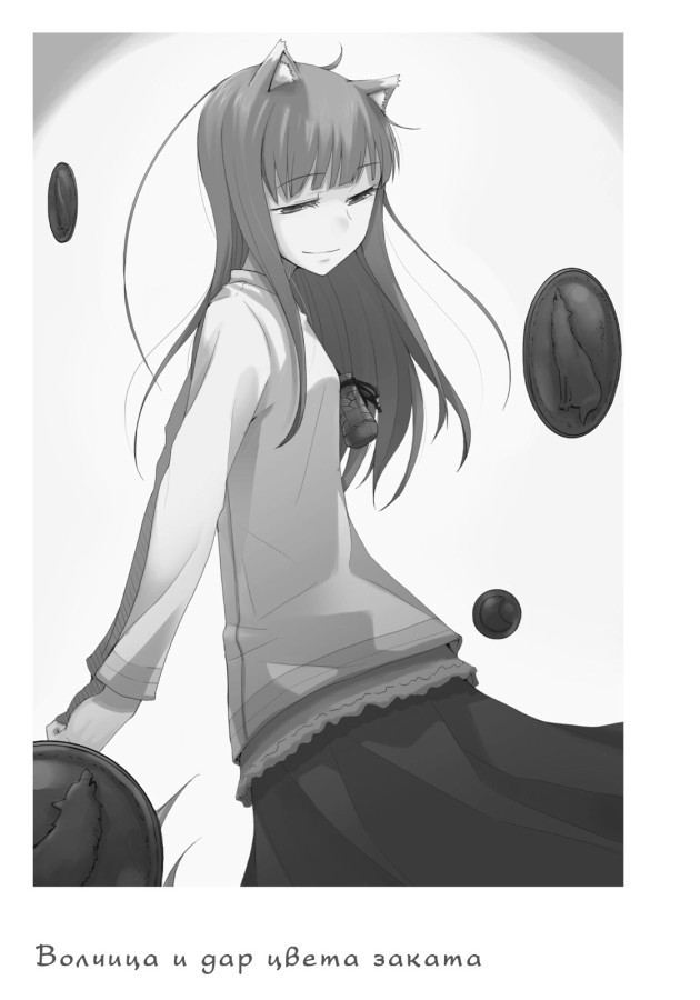 Волчица и пряности. Краски мира 3 (ЛП) - doc2fb_image_0200000D.jpg