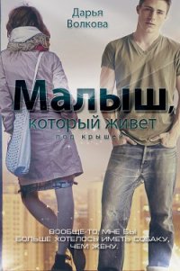 Малыш, который живет под крышей (СИ) - Волкова Дарья