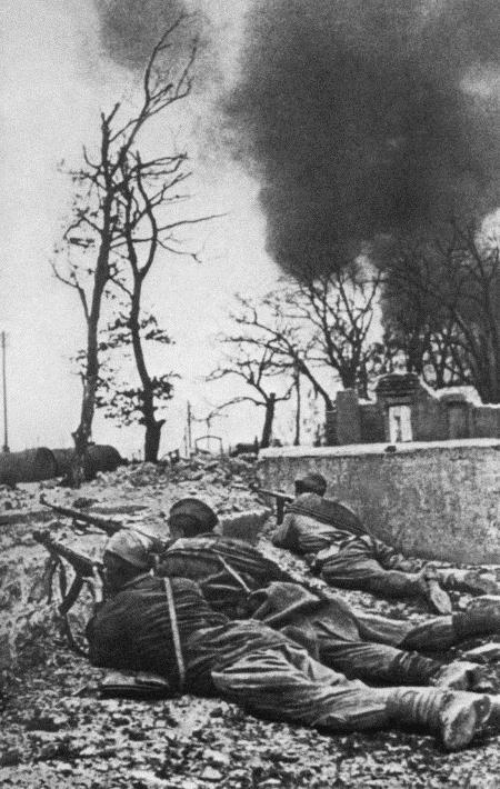 Солдат по кличке Рекс - i_007.jpg