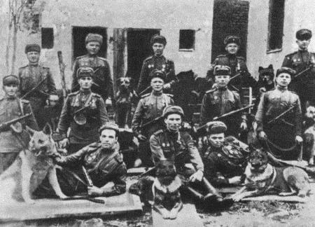 Солдат по кличке Рекс - i_008.jpg