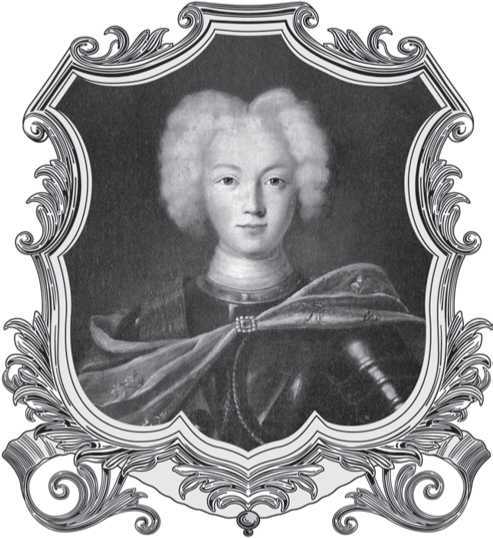 Семейные трагедии Романовых. Трудный выбор - i_007.jpg