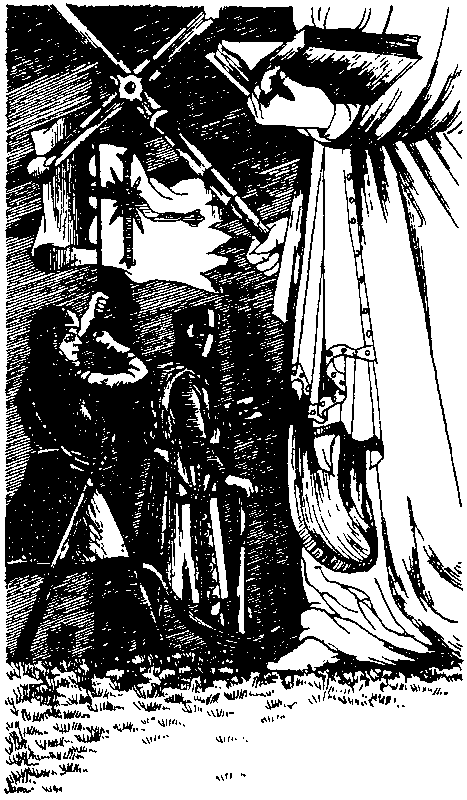 Талисман. Легенда о Монтрозе - pic_9.png