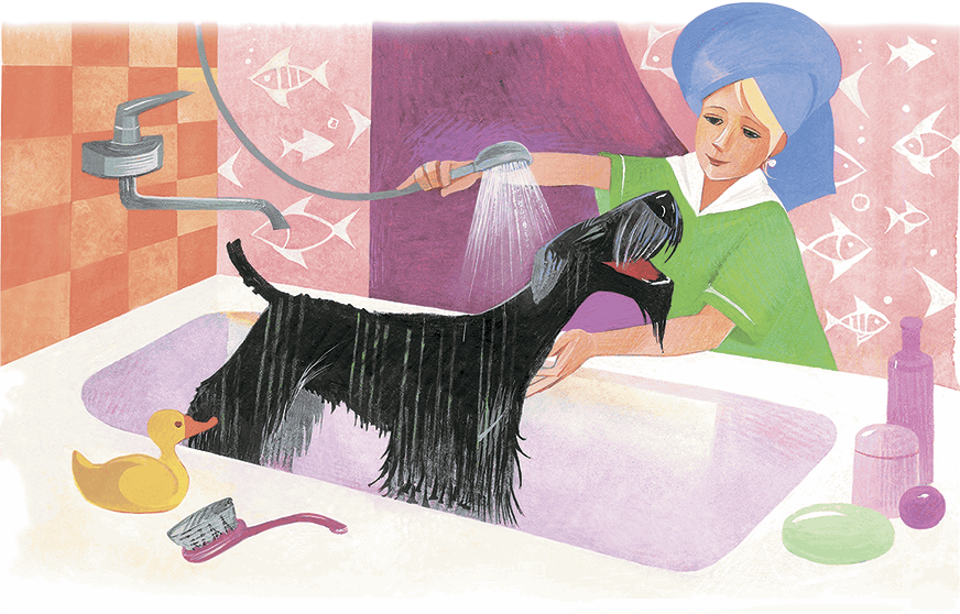 Храбрый Тилли и другие истории (сборник) - i_040.png