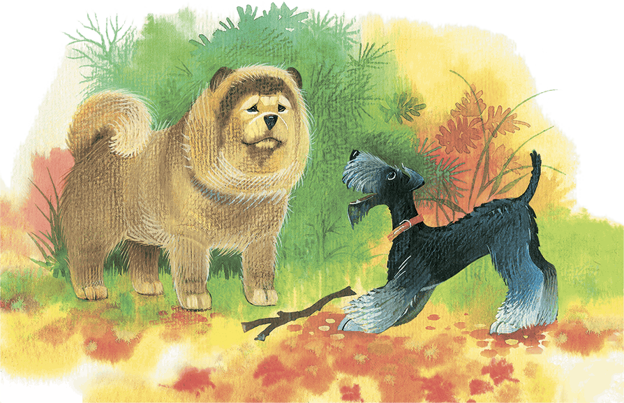 Храбрый Тилли и другие истории (сборник) - i_045.png