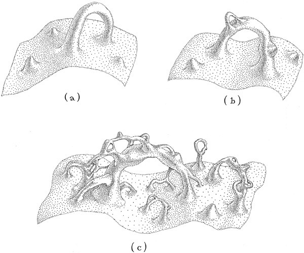 Интерстеллар - _202.jpg