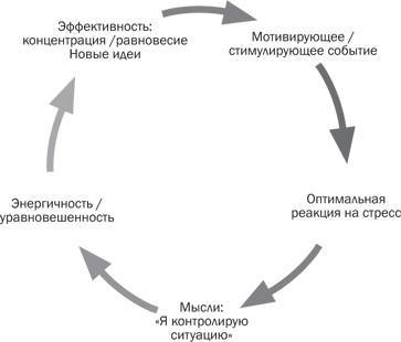 Стрессоустойчивость. Как сохранять спокойствие и эффективность в любых ситуациях - _3.jpg