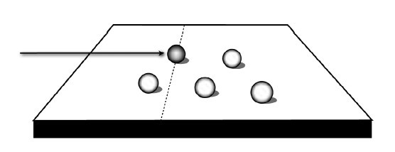 Ошибка Коперника. Загадка жизни во Вселенной - i_020.jpg