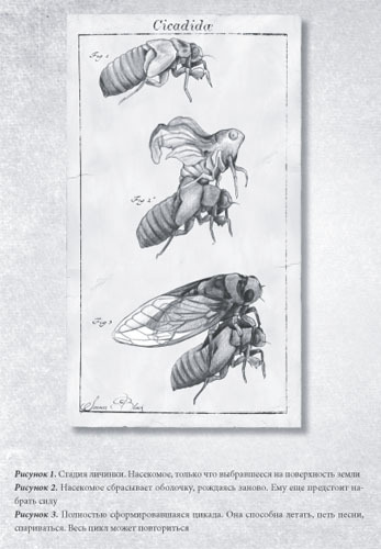 Химера - i_004.jpg