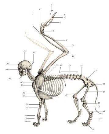 Химера - i_012.jpg