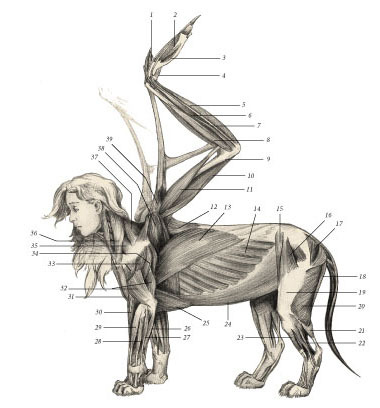 Химера - i_013.jpg