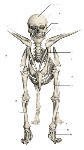 Химера - i_017.jpg