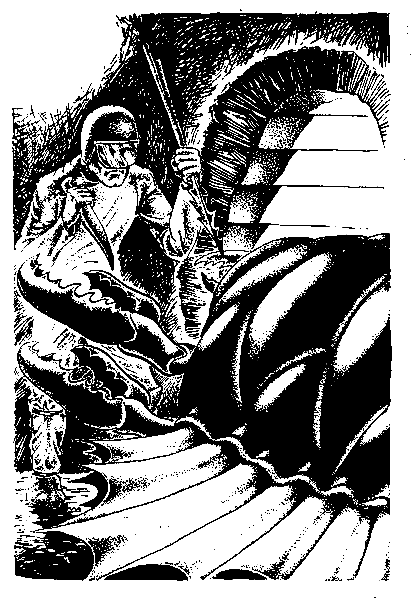 Многорукий бог далайна (Илл. А. Морозова) - pic_7.png