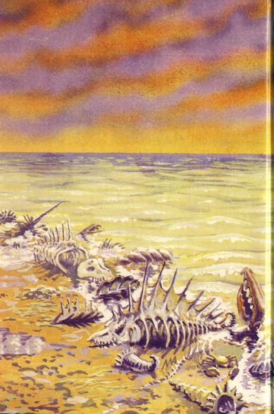 Многорукий бог далайна (Илл. А. Морозова) - pic_19.jpg