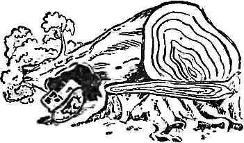 Интересно знать - i_020.png