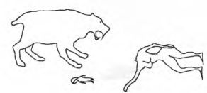 Женщина. Учебник для мужчины. 3-е издание - image3.jpg