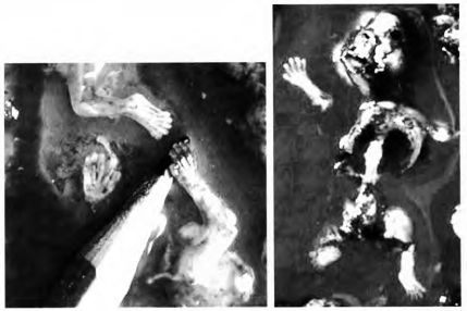 Женщина. Учебник для мужчины. 3-е издание - image43.jpg