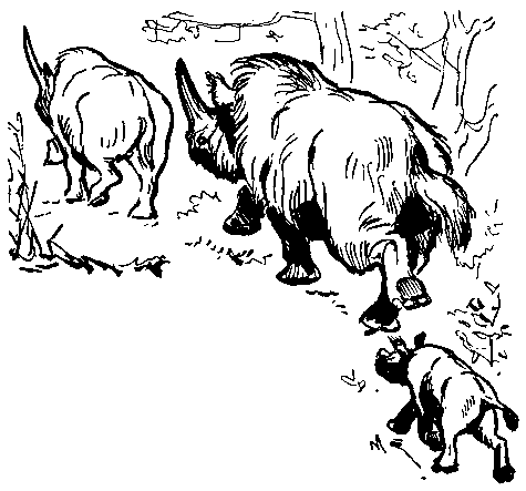 Земля Санникова (илл. Г. Никольского) - pic_17.png