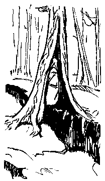 Земля Санникова (илл. Г. Никольского) - pic_42.png