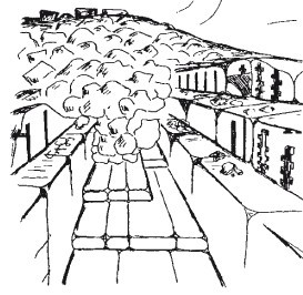 Друиды Русского Севера - i_011.jpg