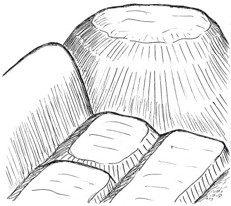 Друиды Русского Севера - i_014.jpg