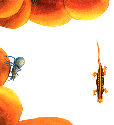 Черт-те что, или Праздник первого зуба - i_013.png