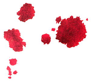 Кулисы, или Посторонним вход разрешен! - i_027.png