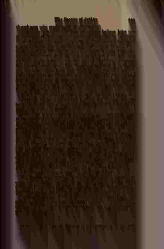 The Prince of Darkness - _460.jpg