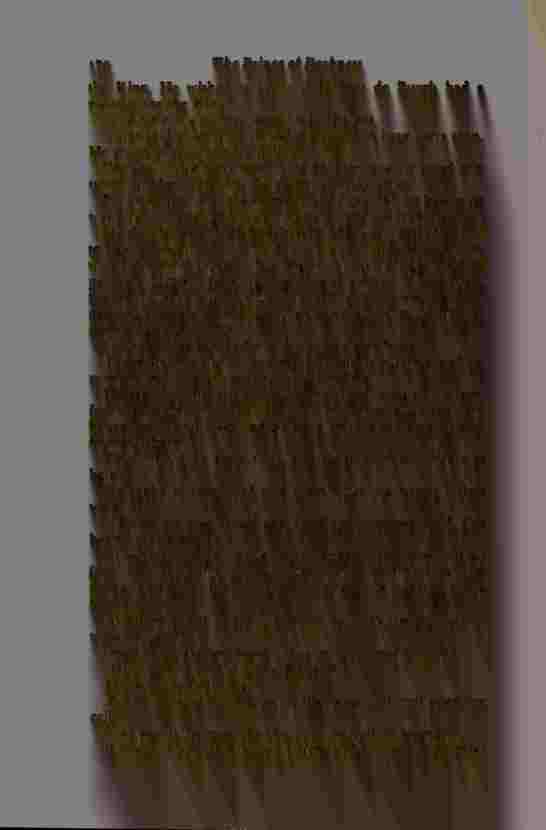 The Prince of Darkness - _343.jpg