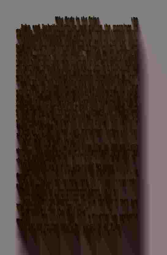 The Prince of Darkness - _361.jpg