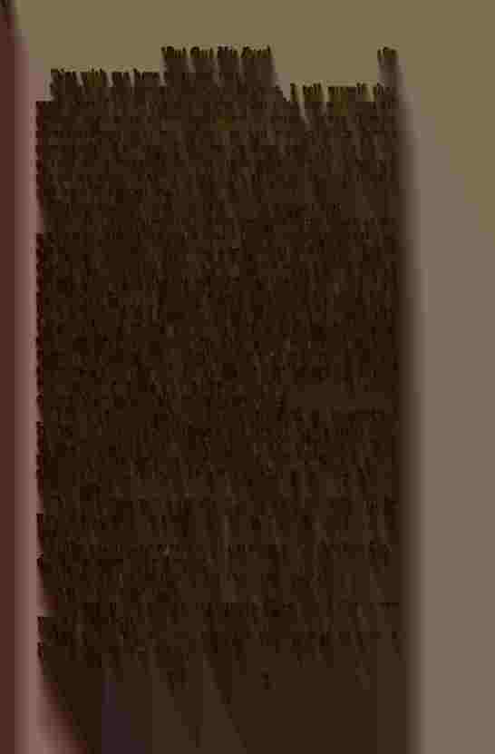 The Prince of Darkness - _337.jpg