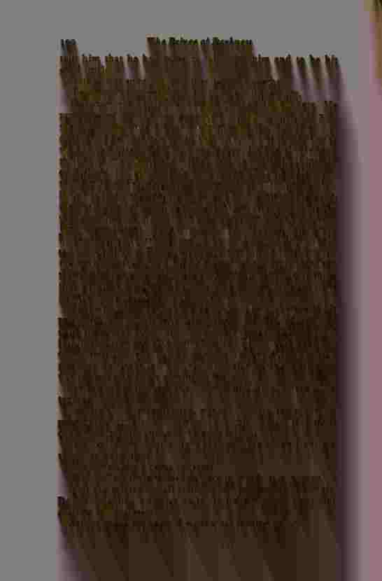 The Prince of Darkness - _383.jpg